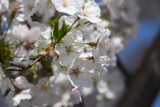 @suzhouvia Instagram@suzhouvia Instagram