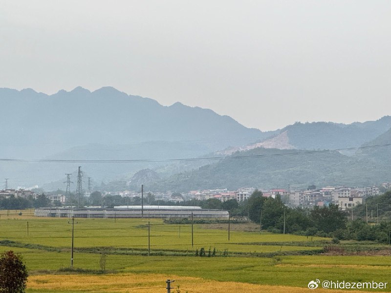 家乡via Weibo家乡via Weibo