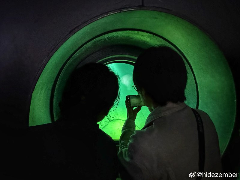 🐣🐶via Weibo🐣🐶via Weibo