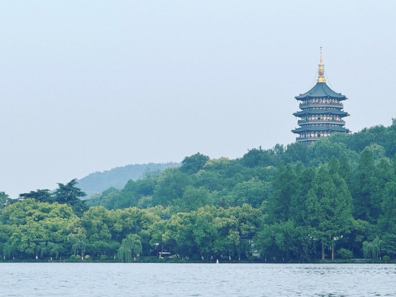 #log今年春天我妈带着我二姨小姨二舅和小舅妈一行五人来上海一游