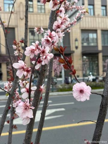 昨天喝了自己冲的手冲咖啡，失眠到五点