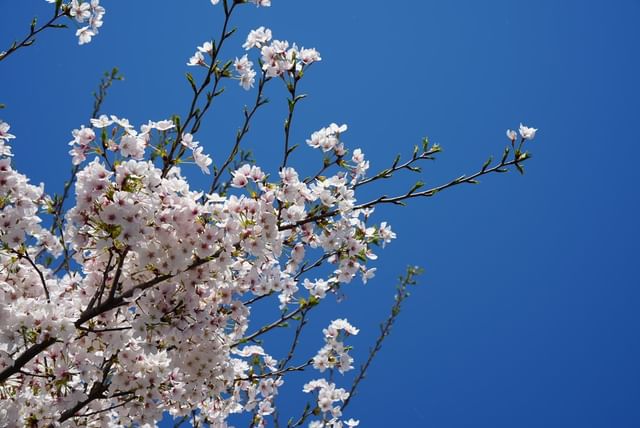 @suzhouvia Instagram@suzhouvia Instagram