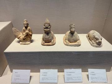 凌晨飞机落地石家庄，早上起床没有停留来到赵县