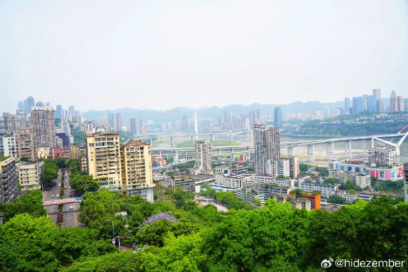 🐣🐶via Weibo🐣🐶via Weibo