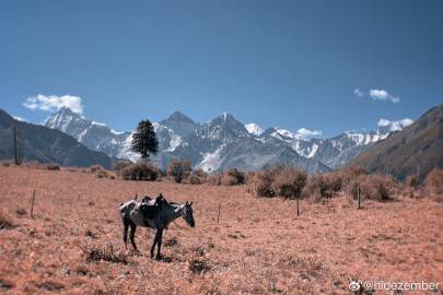 突然理解到的中年危机就是工作疲惫，周末终于岁月静好，重新迎接周一的挑战，突然收到消息家里老人需要手术住院，怎一个平地惊雷