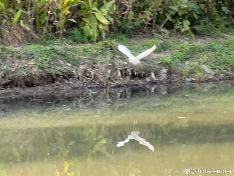 冬日，湿地walkvia Weibo冬日，湿地walkvia Weibo