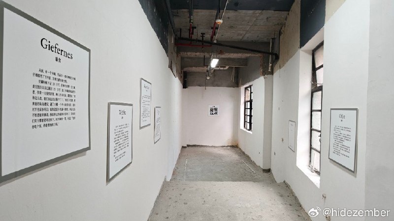 #log今日两展#log今日两展