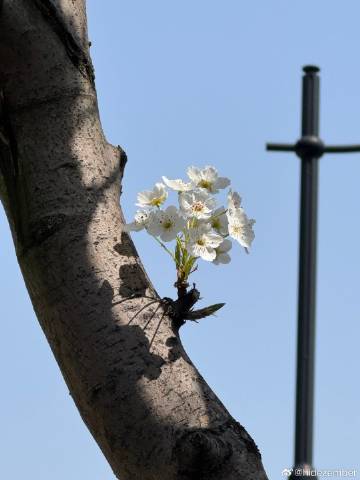 昨天喝了自己冲的手冲咖啡，失眠到五点