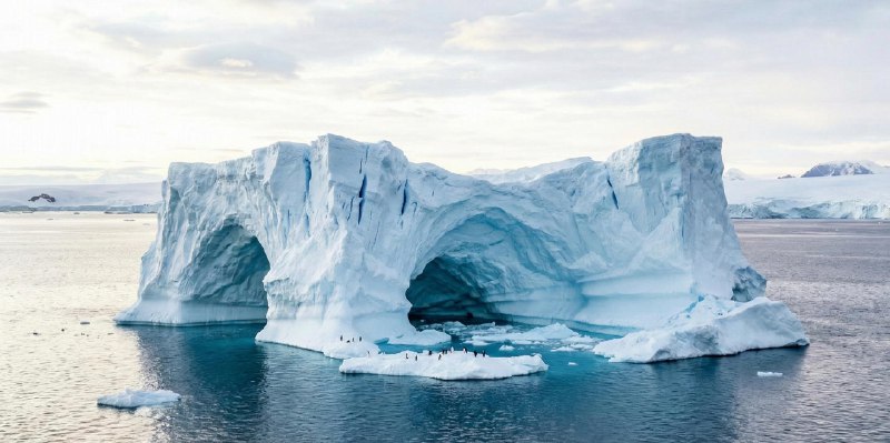 当世界尽头成为热搜：一份南极旅游指南 - 少数派