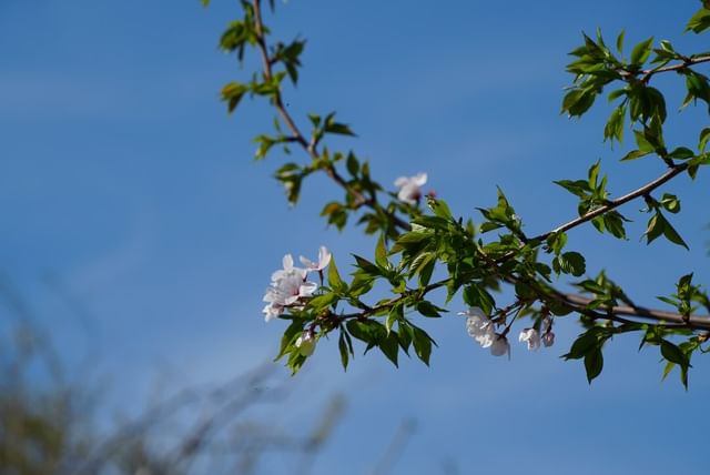 @suzhouvia Instagram@suzhouvia Instagram