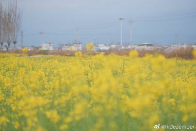 开工大吉，滇东南闲逛结束via Weibo开工大吉，滇东南闲逛结束via Weibo