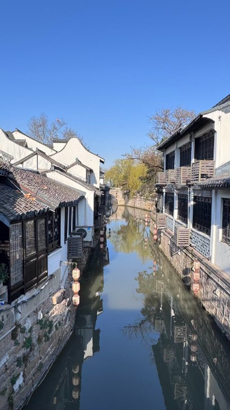 #log嘉定古镇，塔，秋浦园的黑猫