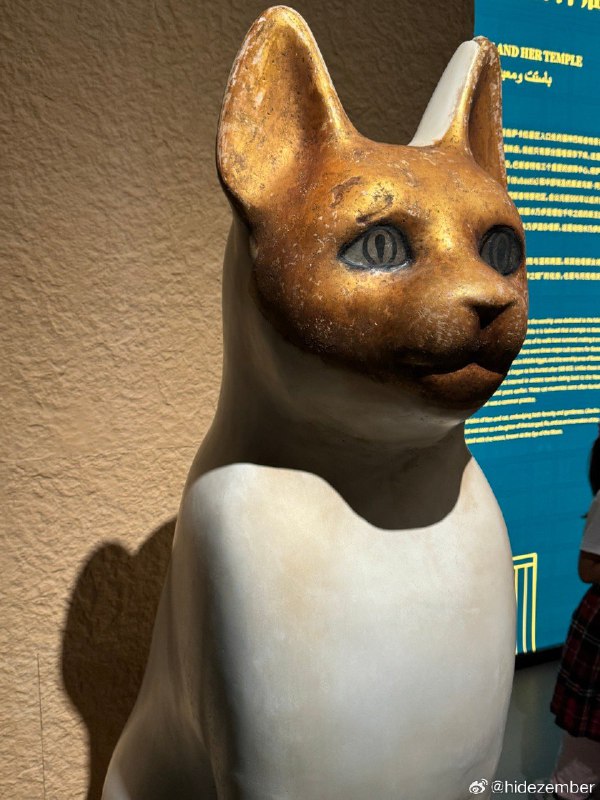 上博埃及展，人比文物多，金面具也没有，体验极差via Weibo上博埃及展，人比文物多，金面具也没有，体验极差via Weibo