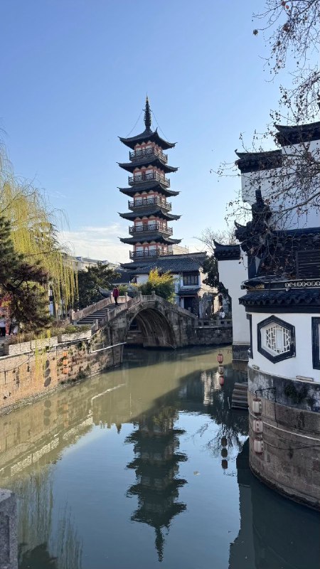 #log嘉定古镇，塔，秋浦园的黑猫