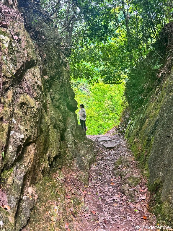 山路五公里，在家瘫一天，运动量还是不行…via Weibo山路五公里，在家瘫一天，运动量还是不行…via Weibo