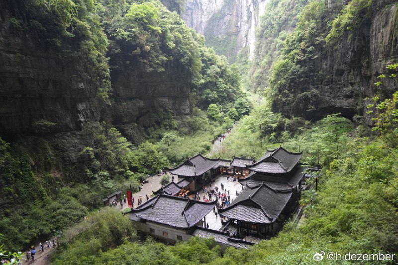 🐣🐶via Weibo🐣🐶via Weibo